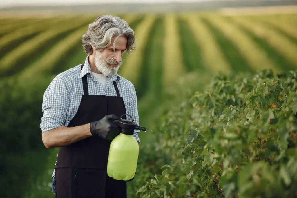 roundup Roundup Lawsuits