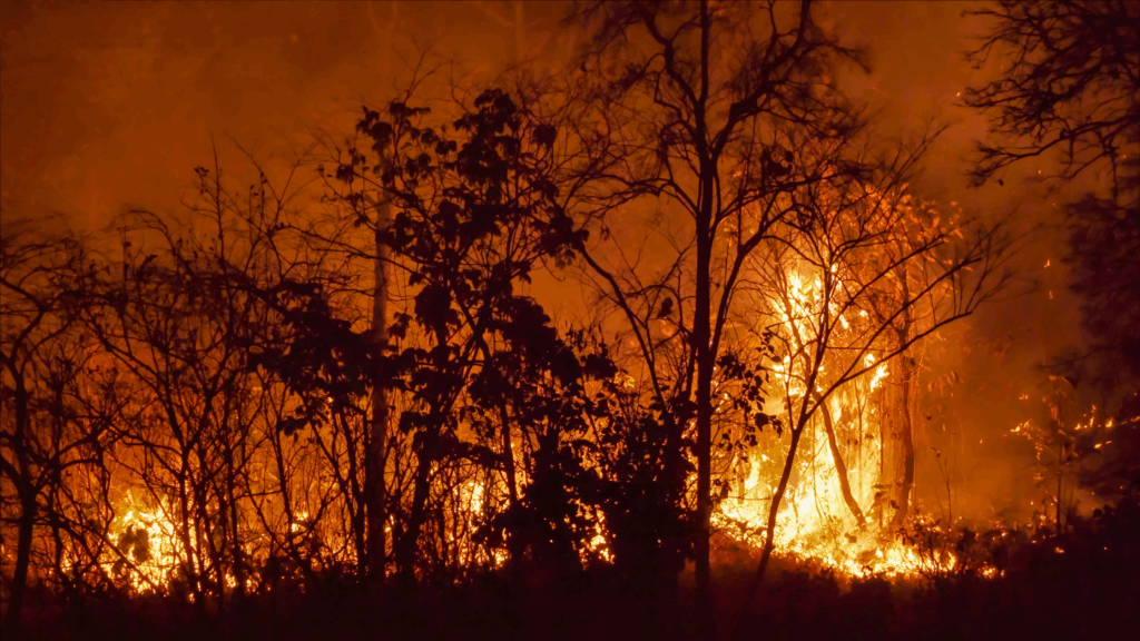 california wildfire lawsuit