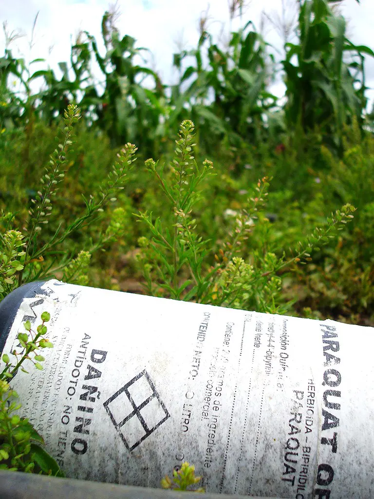 Paraquat fc50615f 1b58 4e47 899f 9a829984ab43