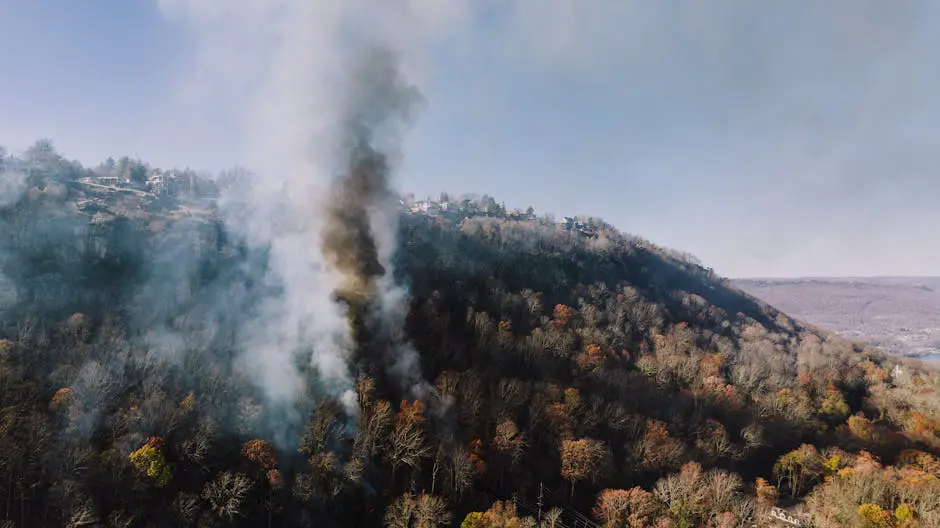 wildfire-smoke-damage-claims-image Wildfire smoke damage claims