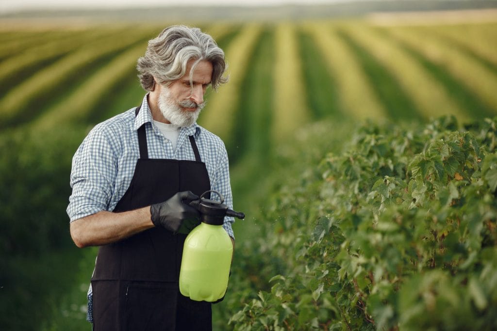 roundup Roundup Lawsuits