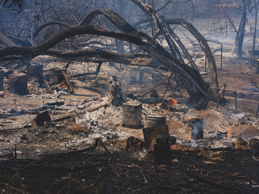 wildfire property damage claim