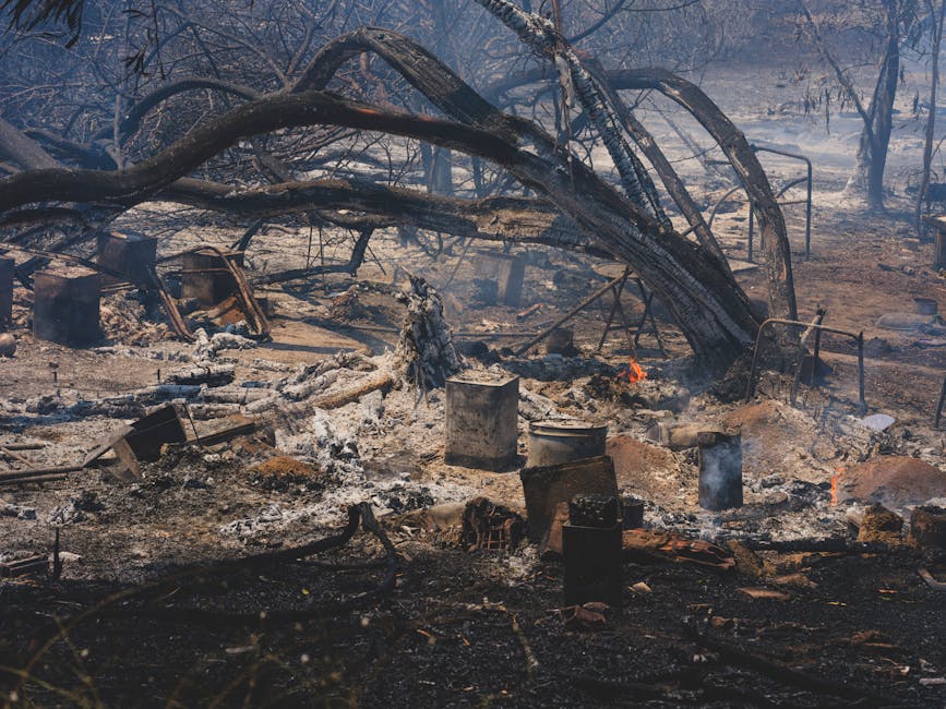 best wildfire lawsuit attorneys in california