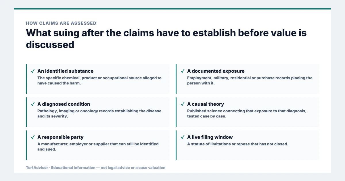 What suing after the claims must establish before value is discussed, from the product or conduct through causation to the filing window