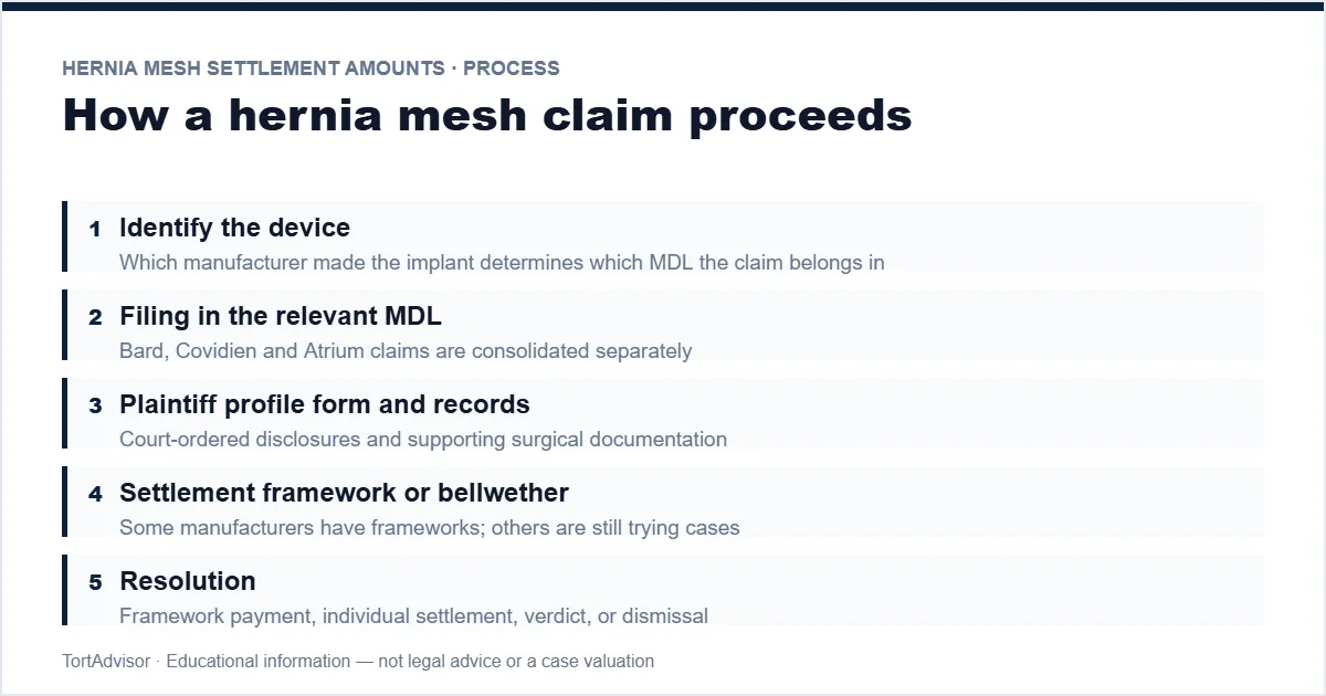 Hernia mesh claim stages — product identification, filing, fact sheet, framework, payment
