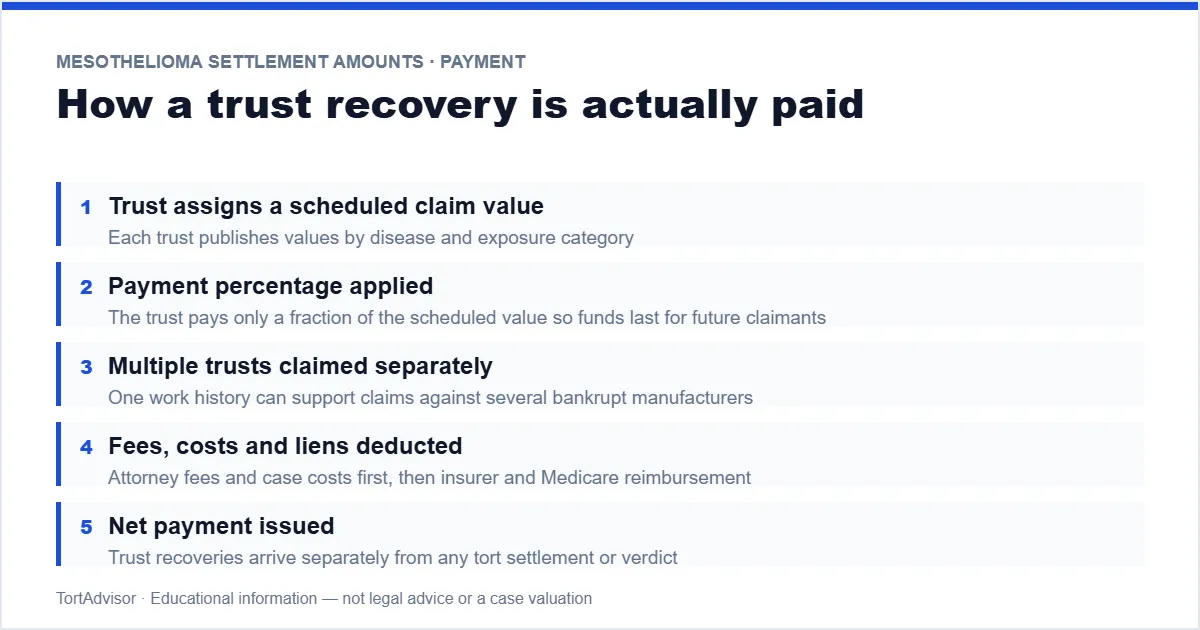 Mesothelioma Settlement Amounts 2026 5 How asbestos trust and tort recoveries are paid — claim value, payment percentage, fees, liens, net